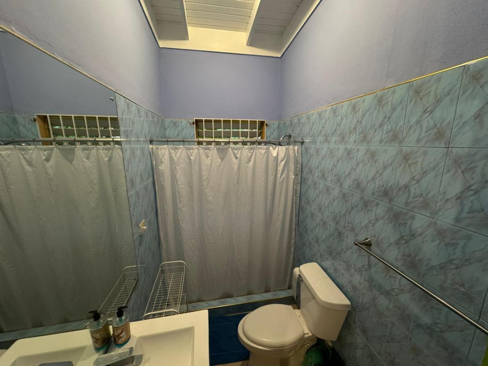 Shalom Suite 2, Manor Park Kingston Dış mekan fotoğraf