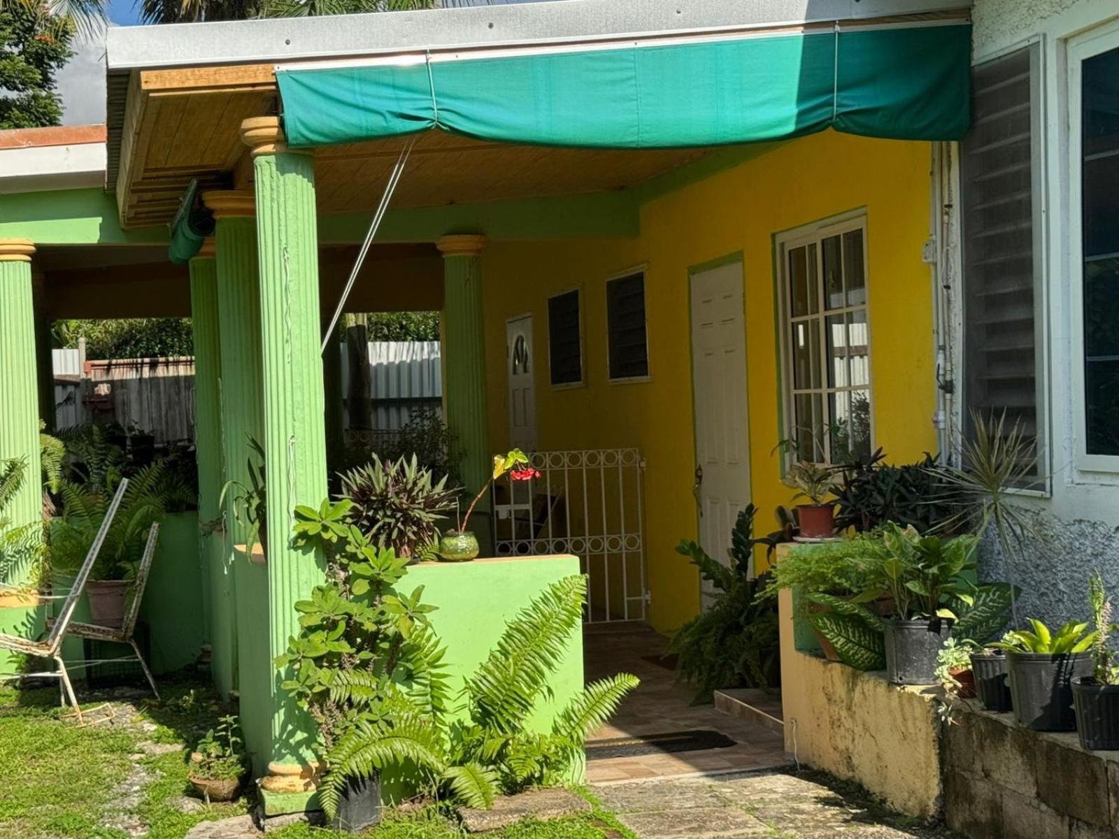 Shalom Suite 2, Manor Park Kingston Dış mekan fotoğraf